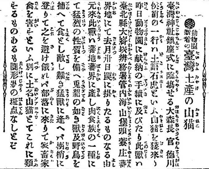 1901年石虎剪報